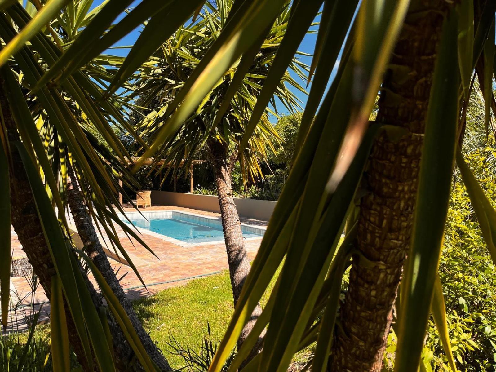 Kokon Boutique Guesthouse Somerset West Exteriér fotografie